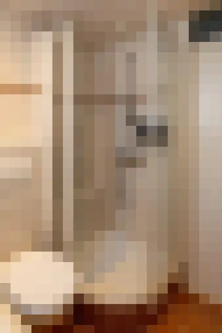 Oranjelaan 22 Nunspeet thumbnail 31