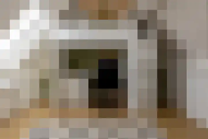 Oranjelaan 22 Nunspeet thumbnail 32