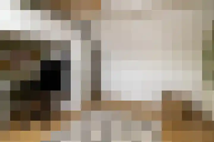 Oranjelaan 22 Nunspeet thumbnail 33