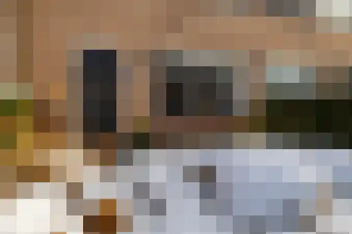 Oranjelaan 22 Nunspeet thumbnail 36