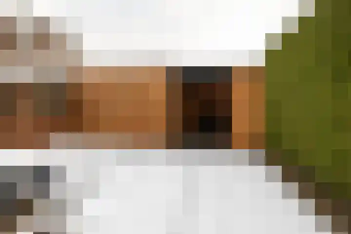 Oranjelaan 22 Nunspeet thumbnail 8