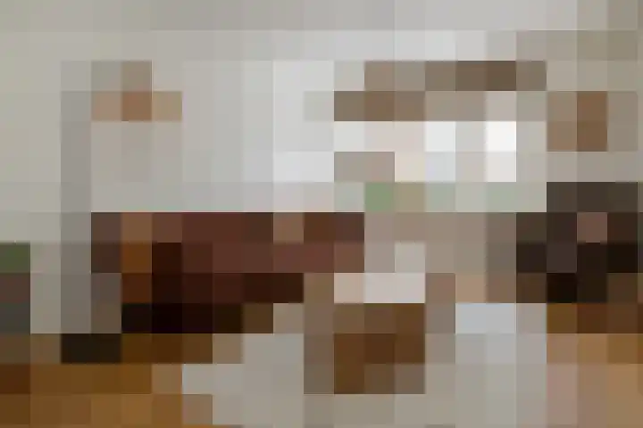 Oranjelaan 22 Nunspeet thumbnail 9