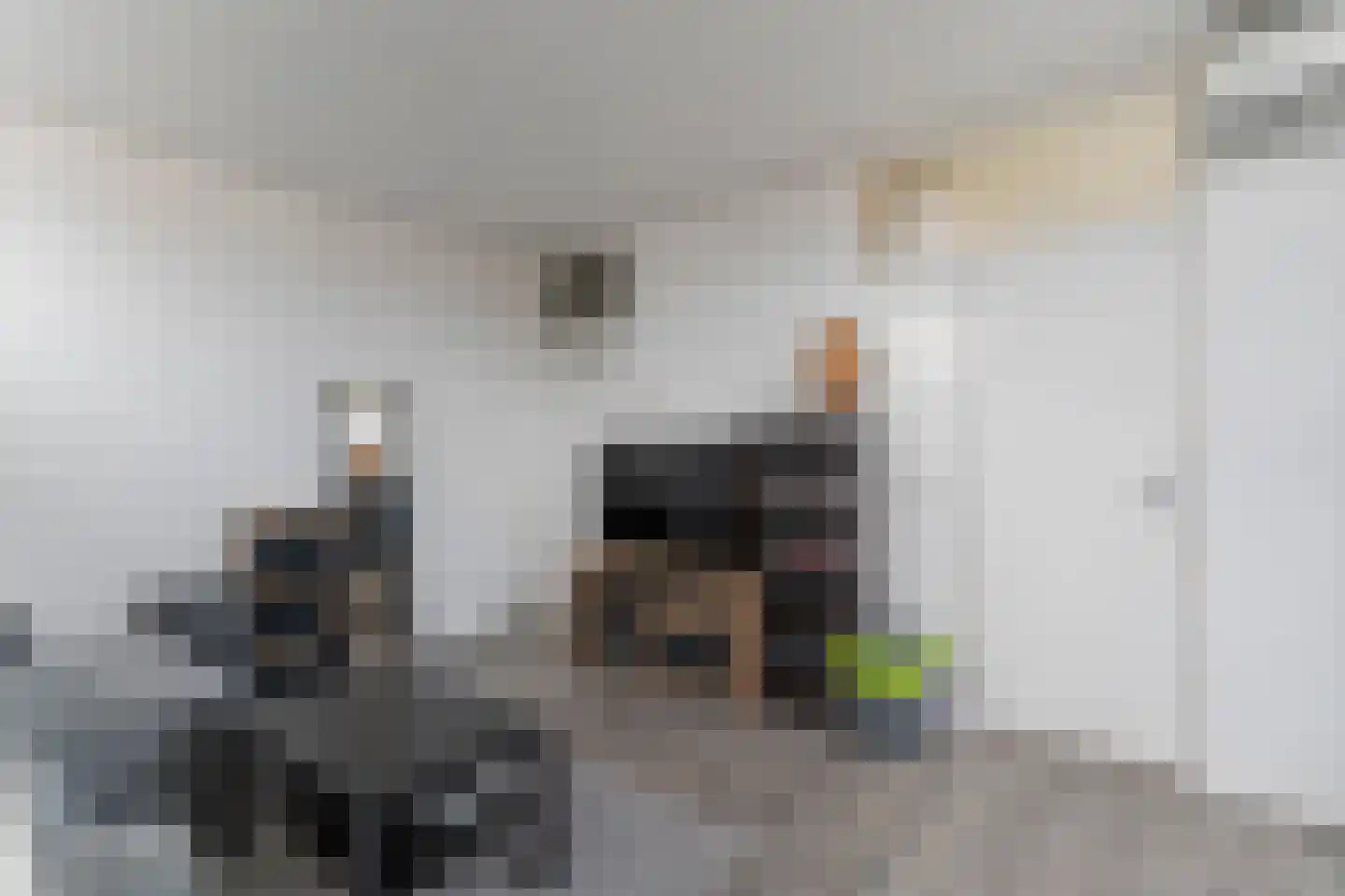 Oranjelaan 228 Dordrecht thumbnail 13