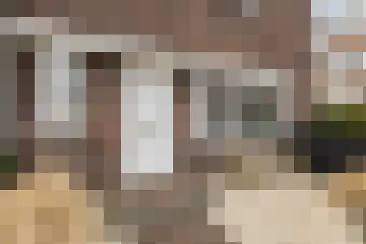 Oranjelaan 23 Bodegraven thumbnail 6