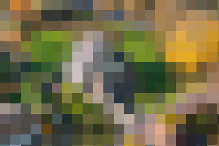 Oranjelaan 23 Wijhe thumbnail 10