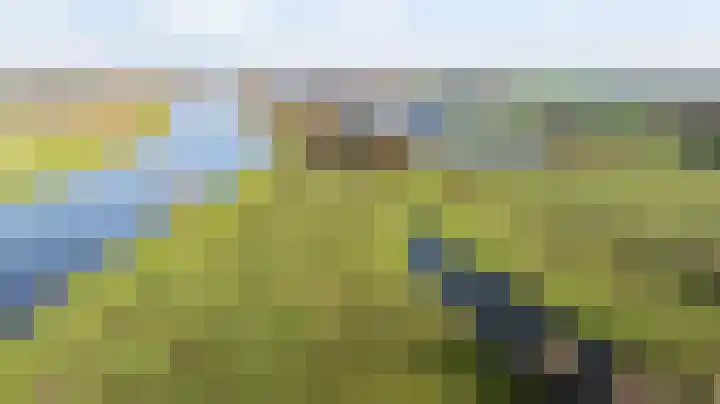 Oranjelaan 23 Wijhe thumbnail 11