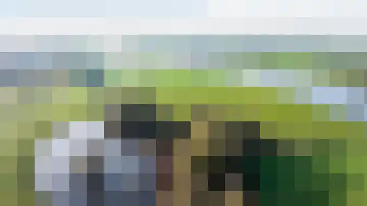 Oranjelaan 23 Wijhe thumbnail 12