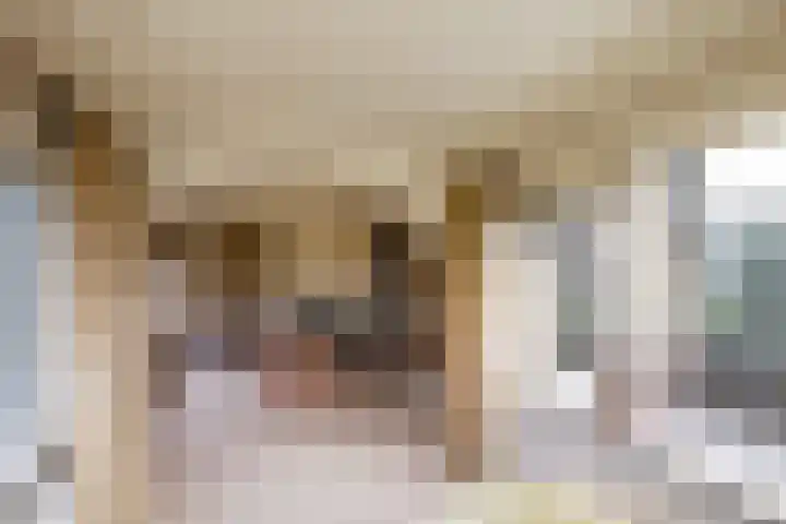 Oranjelaan 23 Wijhe thumbnail 15