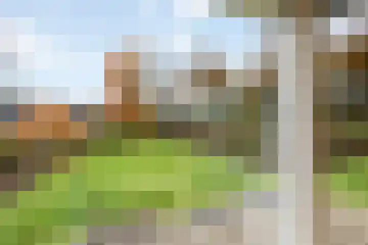 Oranjelaan 23 Wijhe thumbnail 16