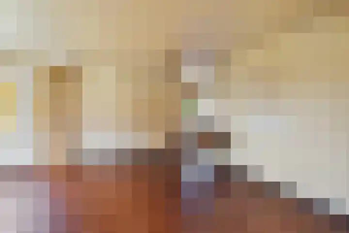 Oranjelaan 23 Wijhe thumbnail 20