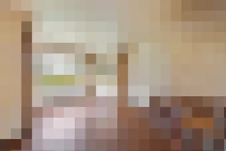 Oranjelaan 23 Wijhe thumbnail 21