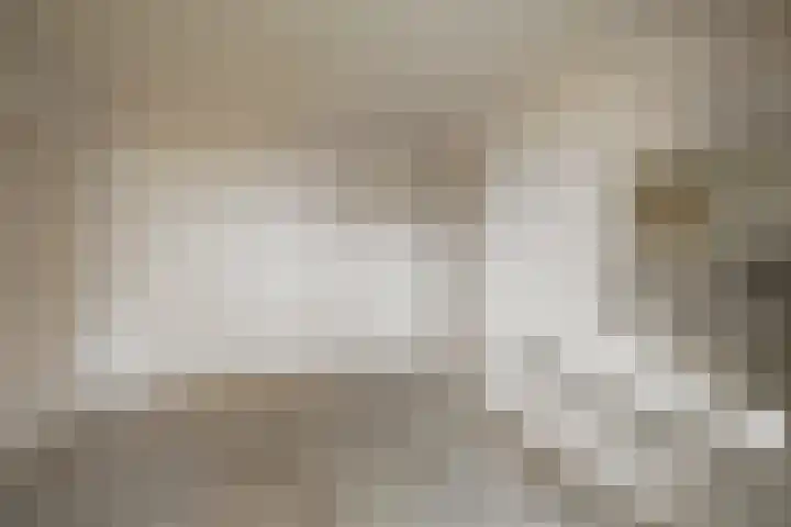 Oranjelaan 23 Wijhe thumbnail 30