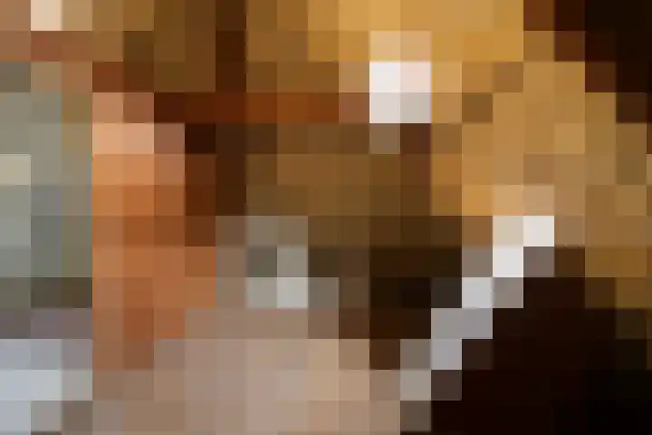 Oranjelaan 23 Wijhe thumbnail 39