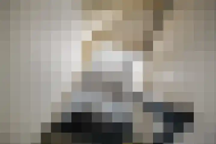 Oranjelaan 23 Wijhe thumbnail 40