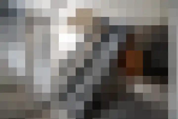 Oranjelaan 23 Wijhe thumbnail 41