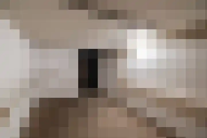 Oranjelaan 23 Wijhe thumbnail 43