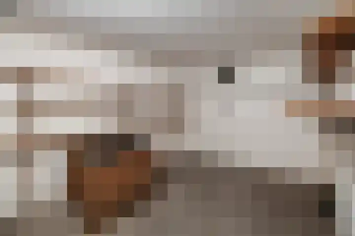 Oranjelaan 23 Wijhe thumbnail 45