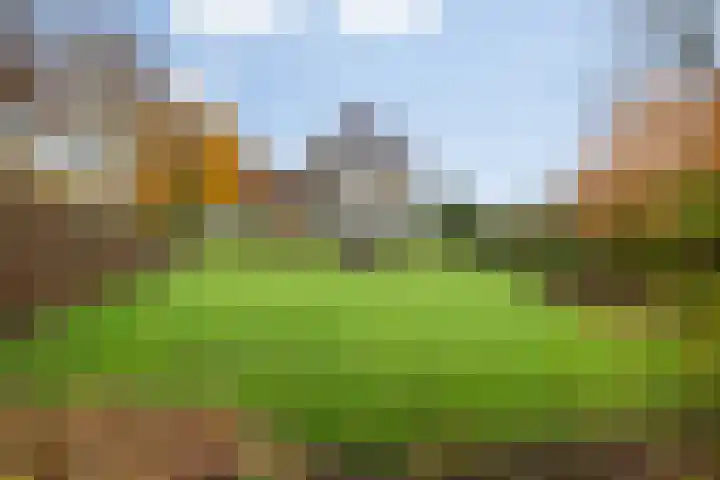 Oranjelaan 23 Wijhe thumbnail 47