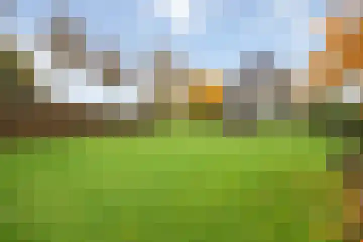 Oranjelaan 23 Wijhe thumbnail 48
