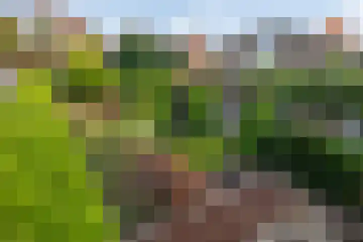 Oranjelaan 23 Wijhe thumbnail 50