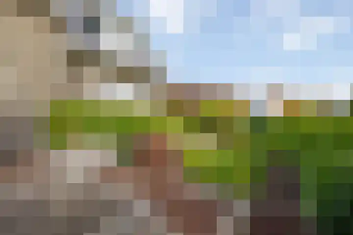 Oranjelaan 23 Wijhe thumbnail 51
