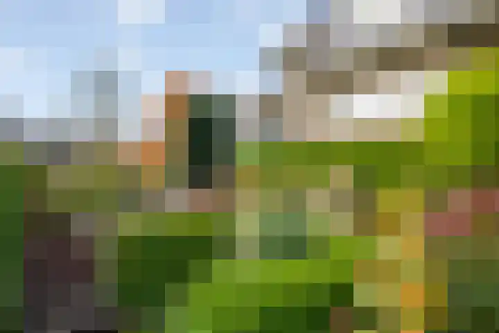 Oranjelaan 23 Wijhe thumbnail 52