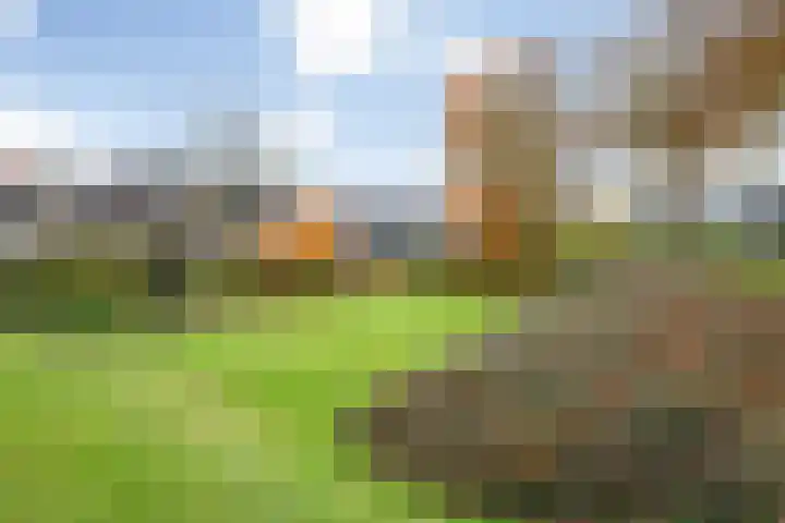 Oranjelaan 23 Wijhe thumbnail 54