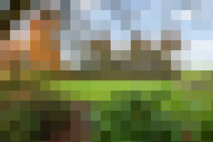 Oranjelaan 23 Wijhe thumbnail 55