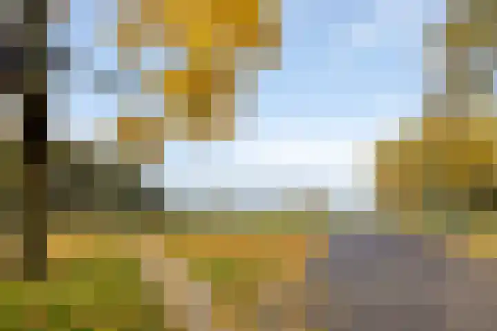Oranjelaan 23 Wijhe thumbnail 56