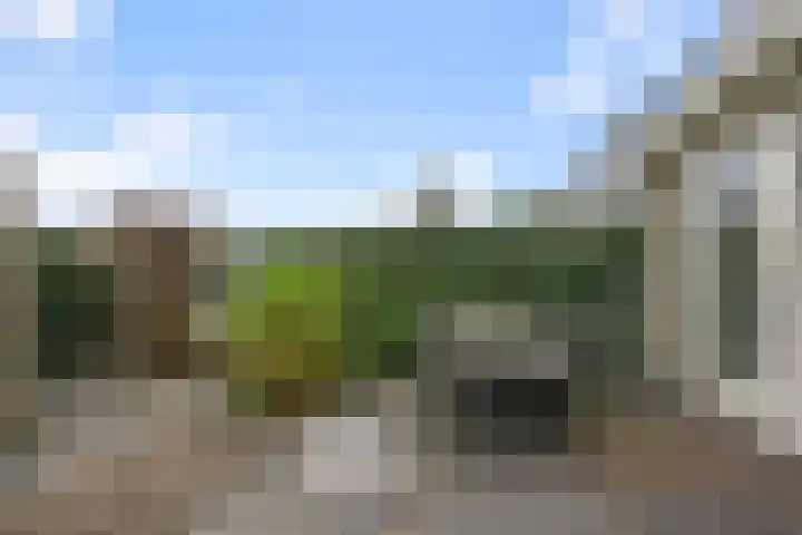 Oranjelaan 24 Castricum thumbnail 12