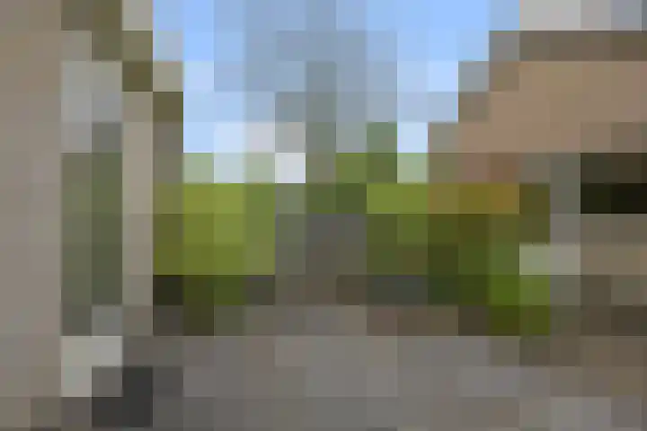 Oranjelaan 24 Castricum thumbnail 13