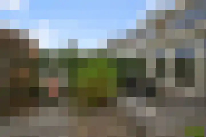 Oranjelaan 24 Castricum thumbnail 14
