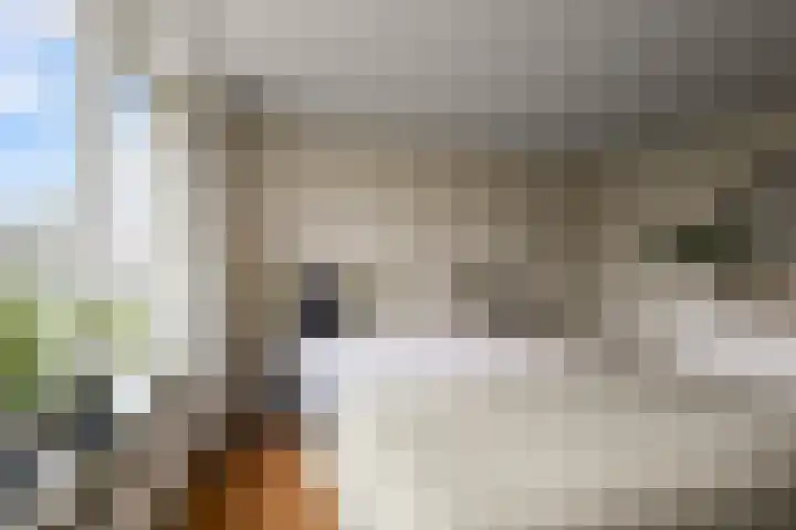 Oranjelaan 24 Castricum thumbnail 21