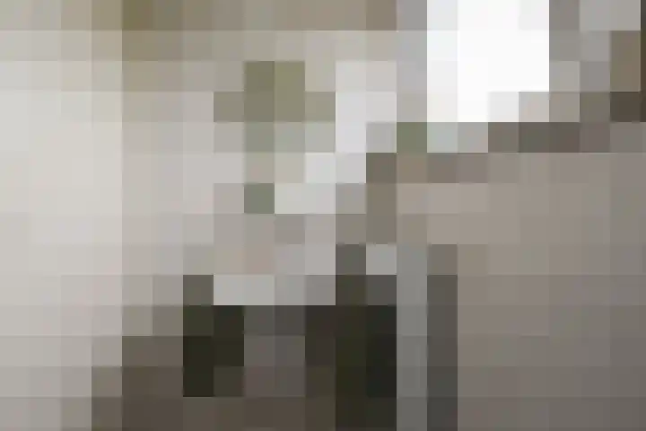 Oranjelaan 24 Castricum thumbnail 25