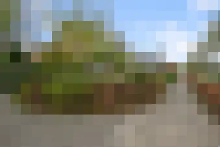 Oranjelaan 24 Castricum thumbnail 32