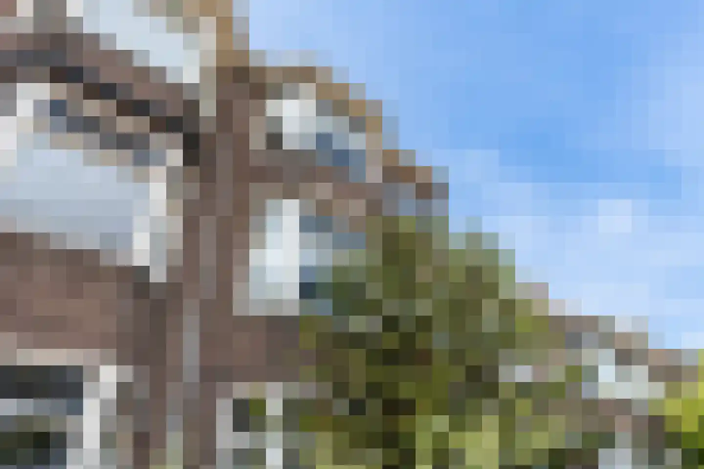 Oranjelaan 25 Dordrecht thumbnail 7