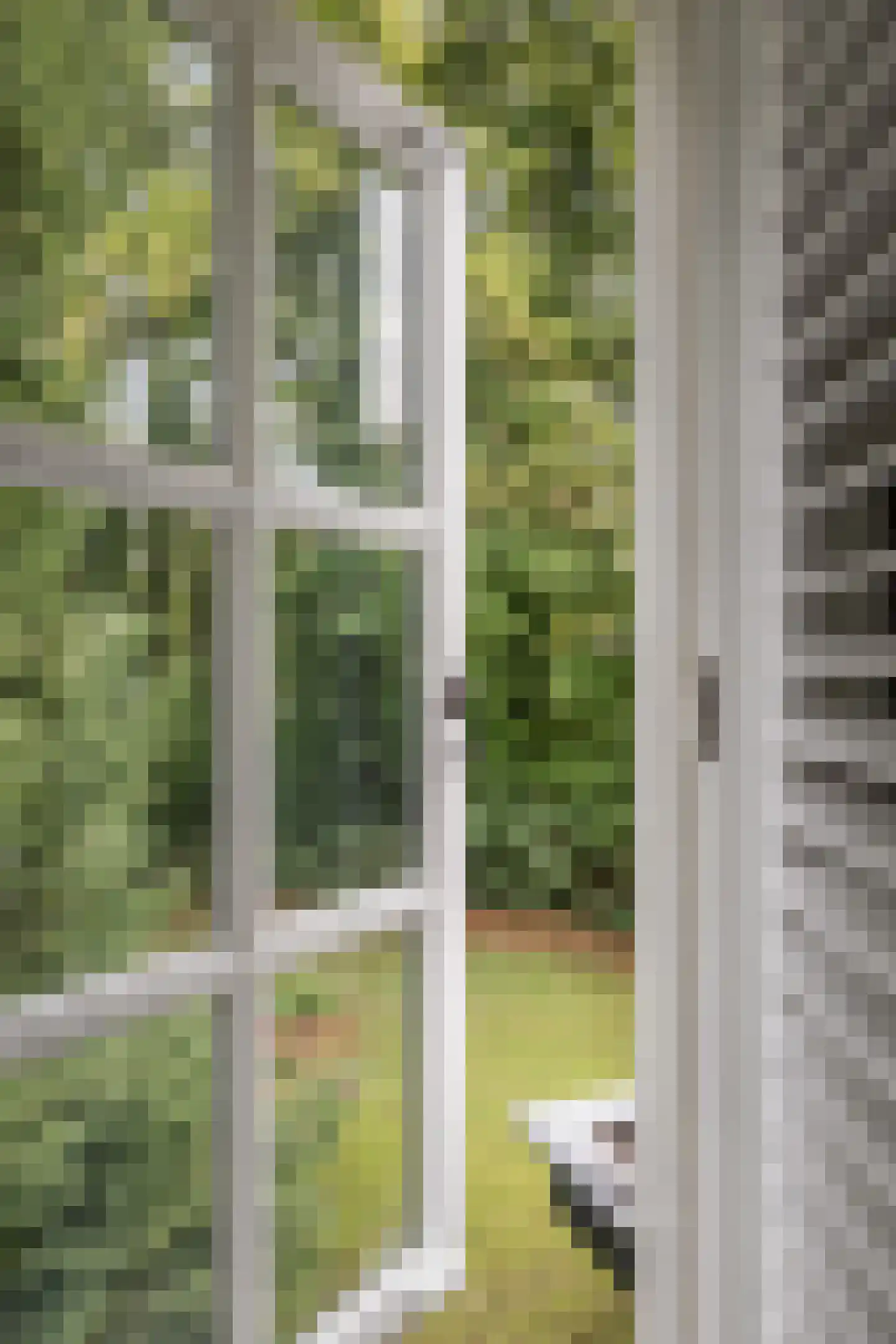 Oranjelaan 27 Diepenveen thumbnail 26