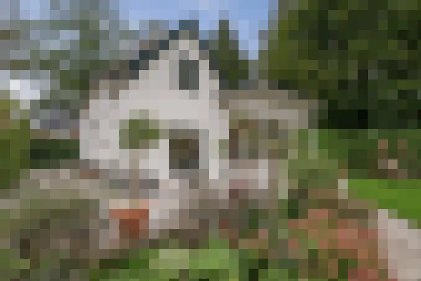Oranjelaan 27 Diepenveen thumbnail 35