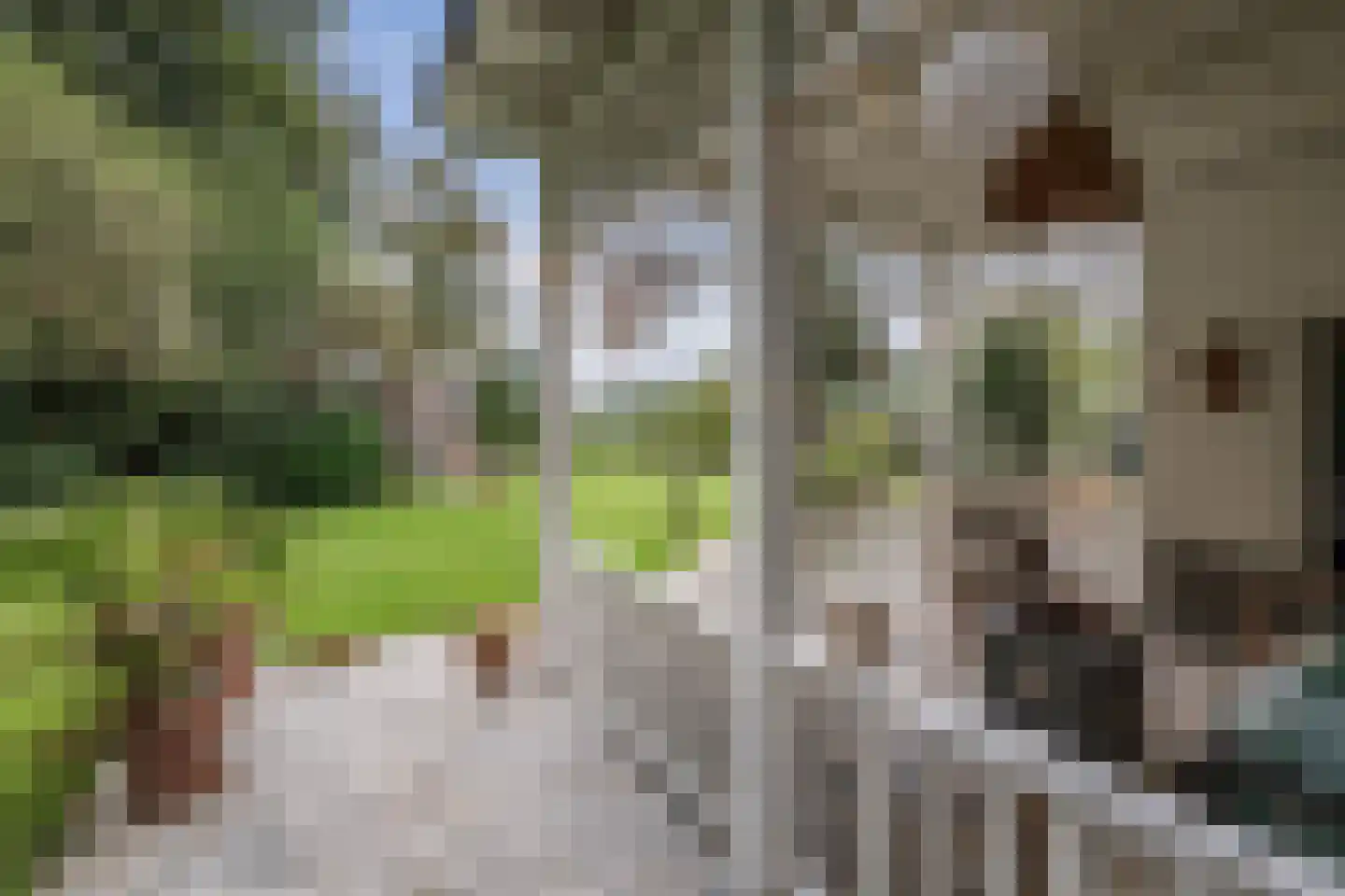 Oranjelaan 27 Diepenveen thumbnail 36