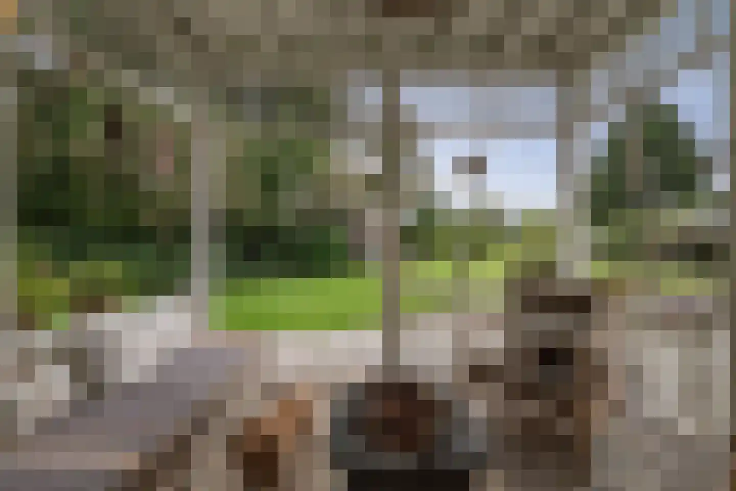 Oranjelaan 27 Diepenveen thumbnail 37