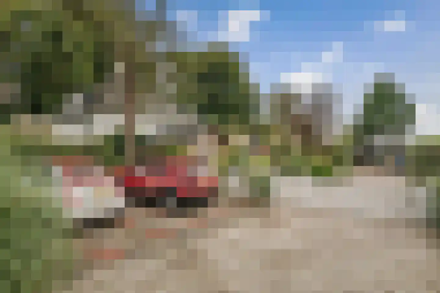 Oranjelaan 27 Diepenveen thumbnail 39