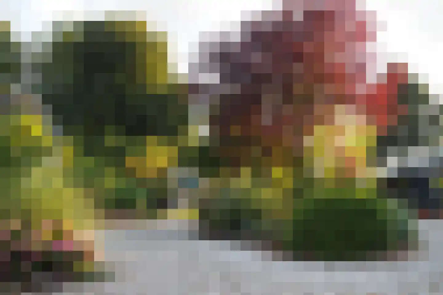 Oranjelaan 27 Diepenveen thumbnail 41