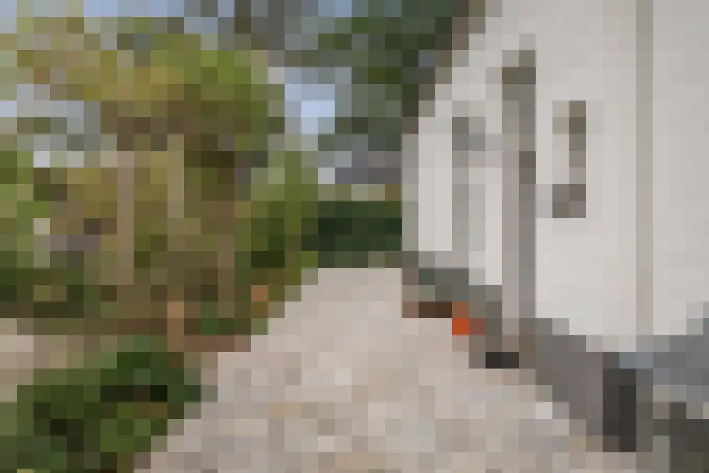 Oranjelaan 27 Diepenveen thumbnail 43
