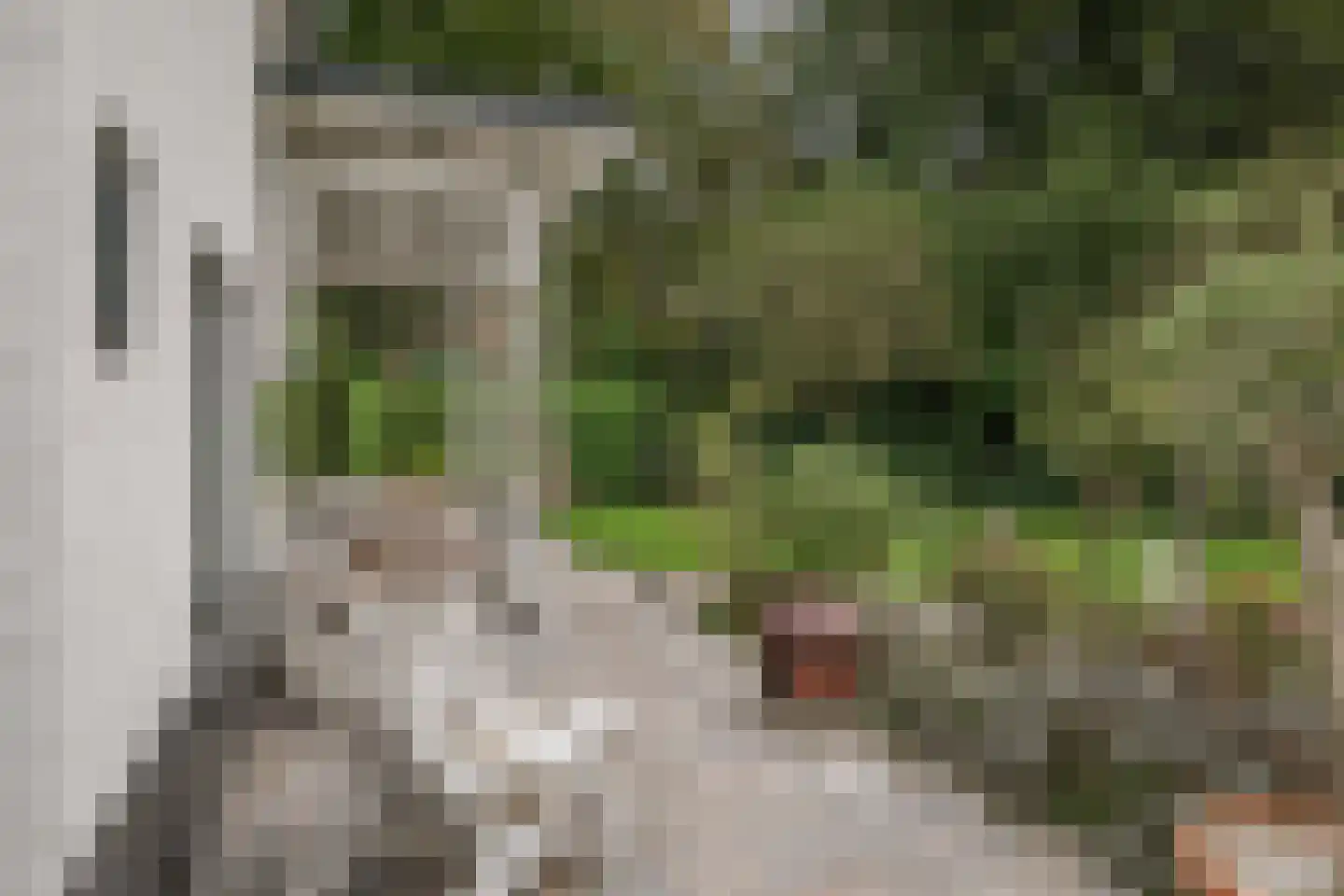 Oranjelaan 27 Diepenveen thumbnail 44