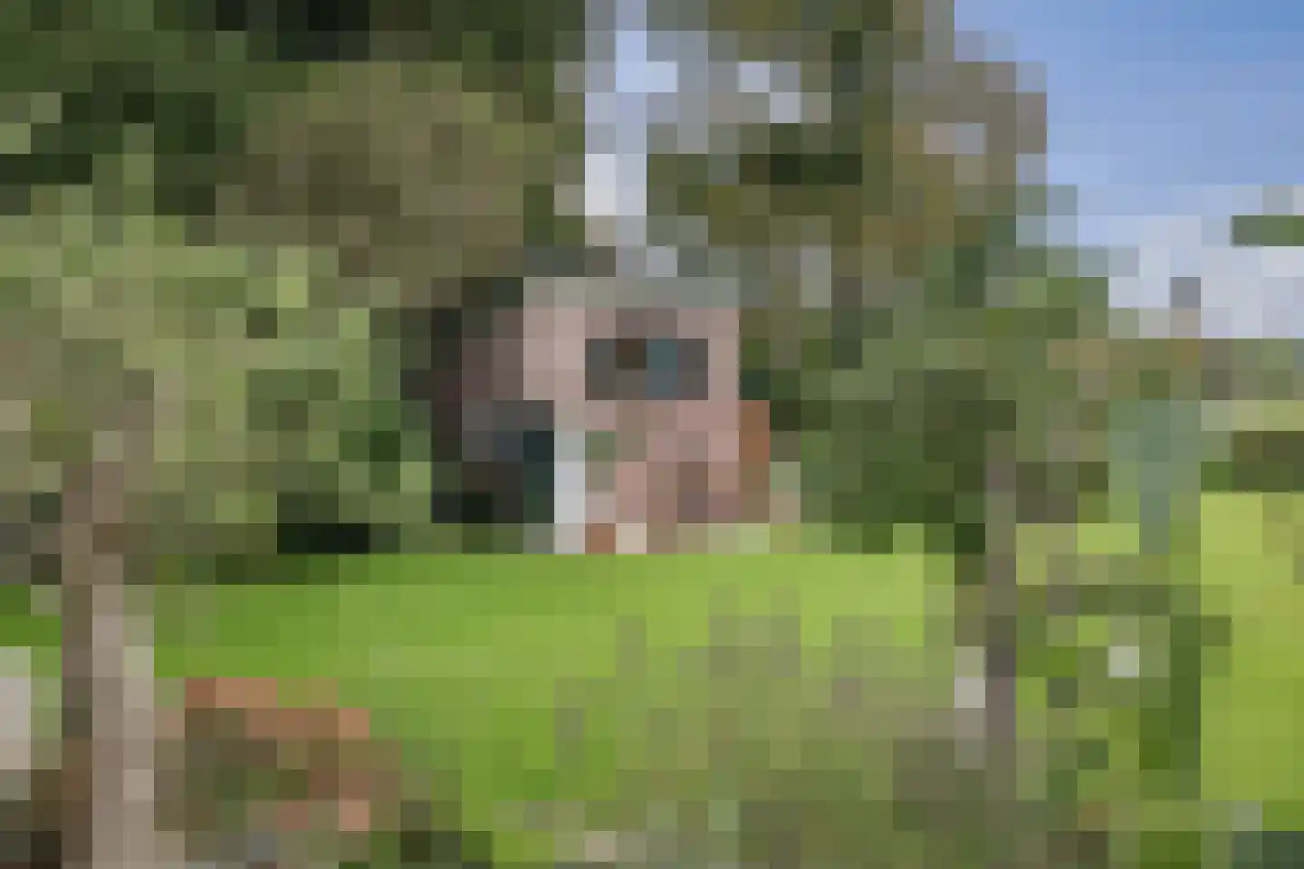 Oranjelaan 27 Diepenveen thumbnail 50