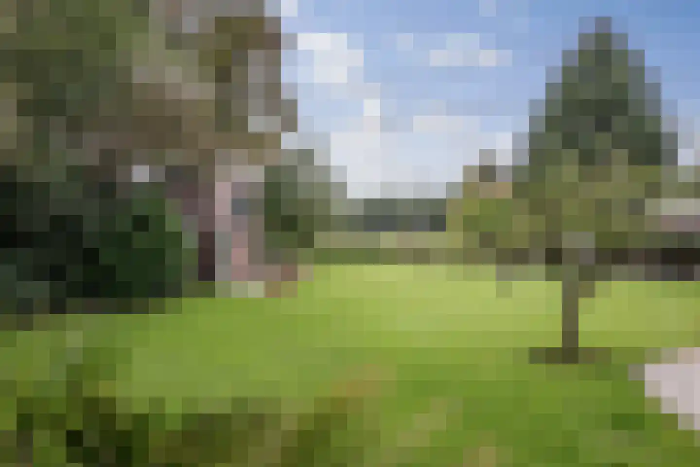 Oranjelaan 27 Diepenveen thumbnail 51