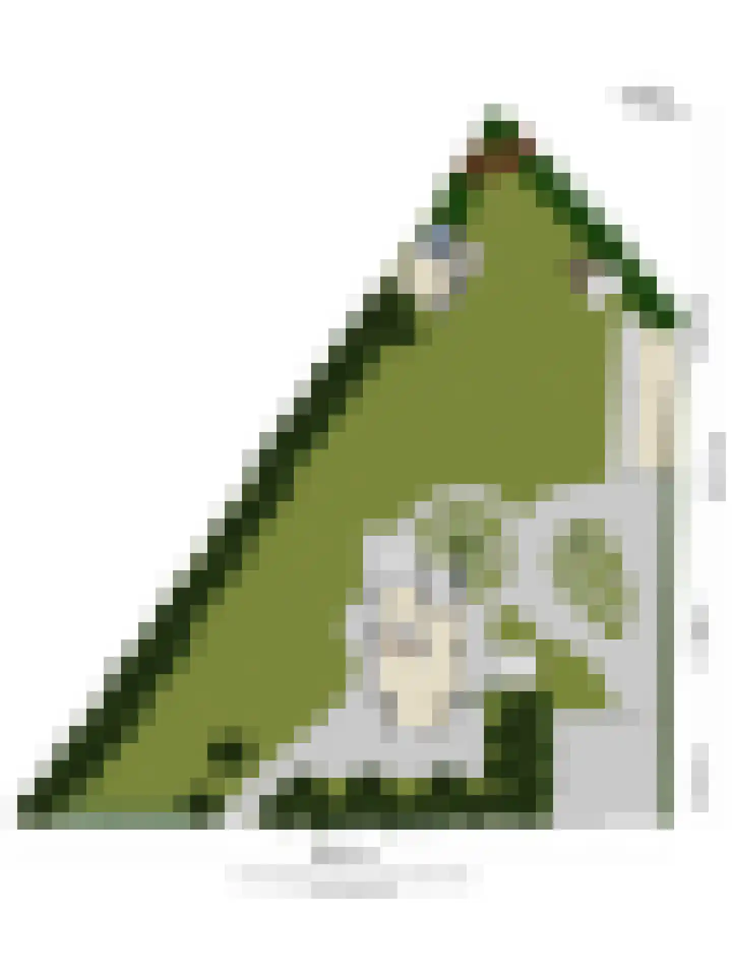 Oranjelaan 27 Diepenveen thumbnail 61