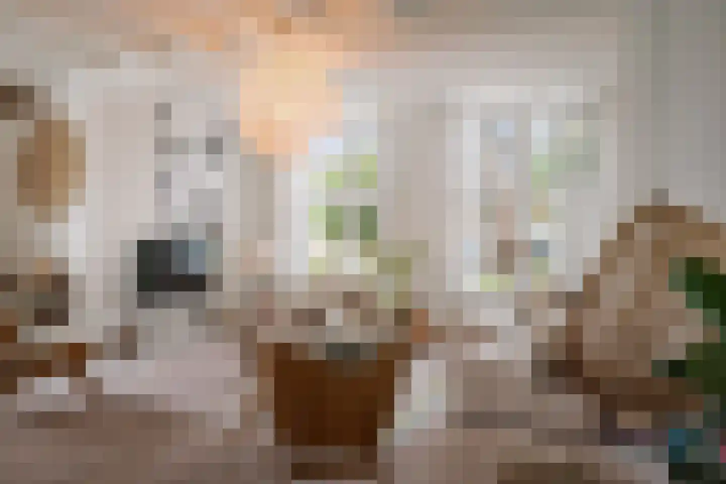 Oranjelaan 27 Diepenveen thumbnail 7