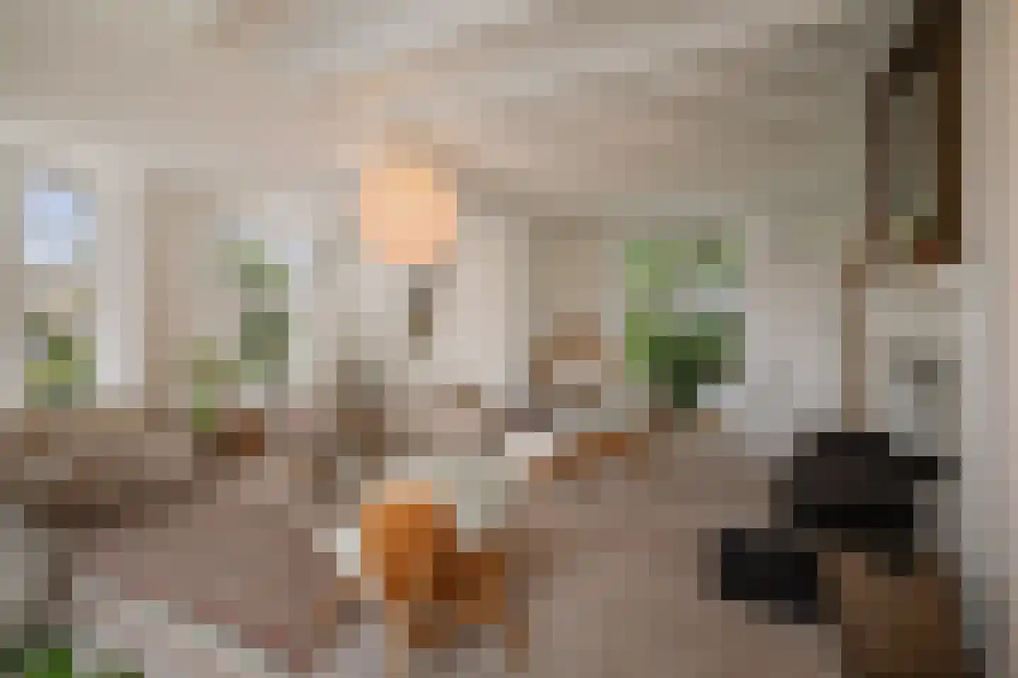 Oranjelaan 27 Diepenveen thumbnail 8