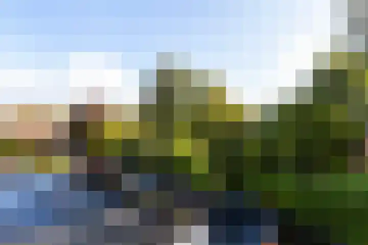 Oranjelaan 27 Vlaardingen thumbnail 26